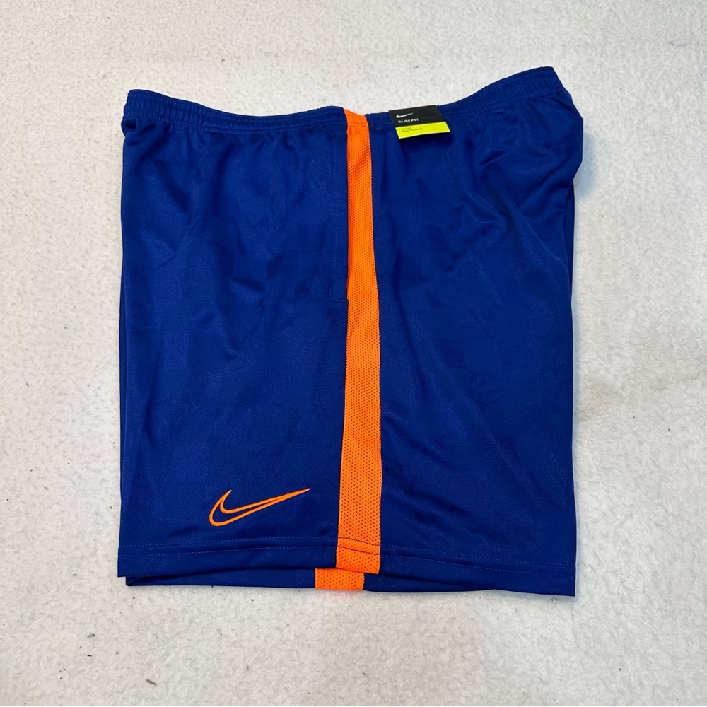 Blue Men’s Nike Shorts